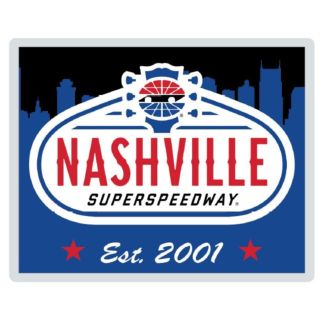 NSS 2001 SKYLINE LOGO PIN